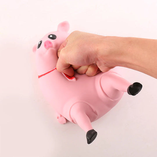 Piggy Splash Toy®